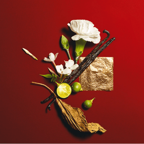 Yves Saint Laurent Opium - Agua de Colonia