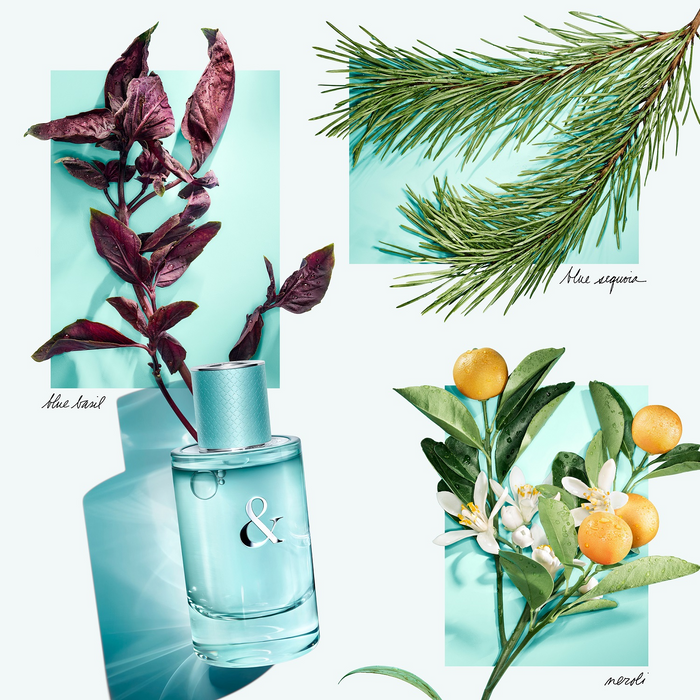 Tiffany & Co & Love For Her - Eau de Parfum