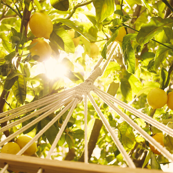 Maison Margiela Under The Lemon Trees - Eau de Toilette