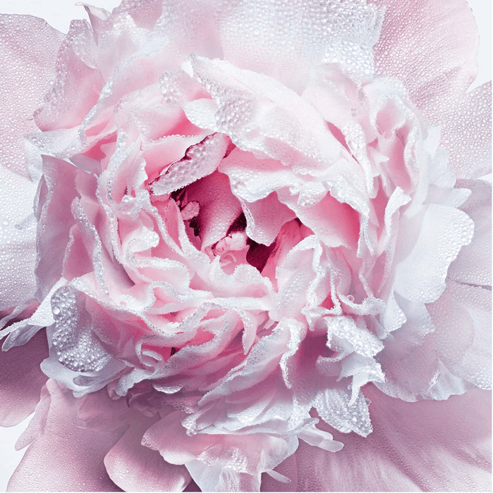 Dior Miss Dior - Parfum Für Das Haar