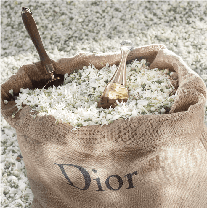 Dior J'adore - Eau De Toilette Roller-Pearl