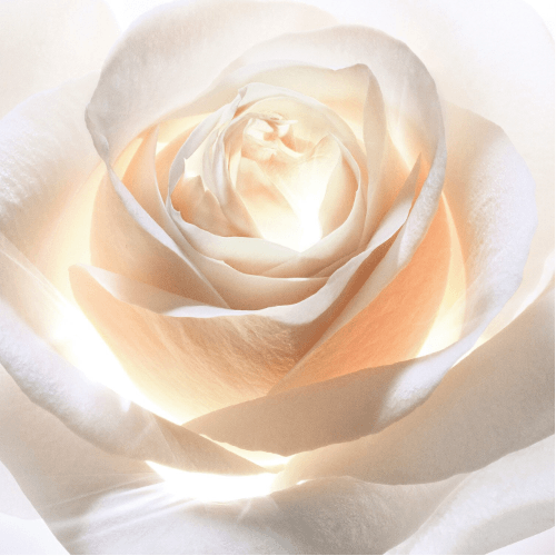 Dior Prestige Light-In-White - Creme