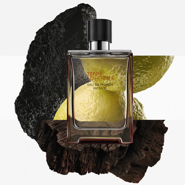 Hermès Terre d'Hermès - Intense Eau de Parfum