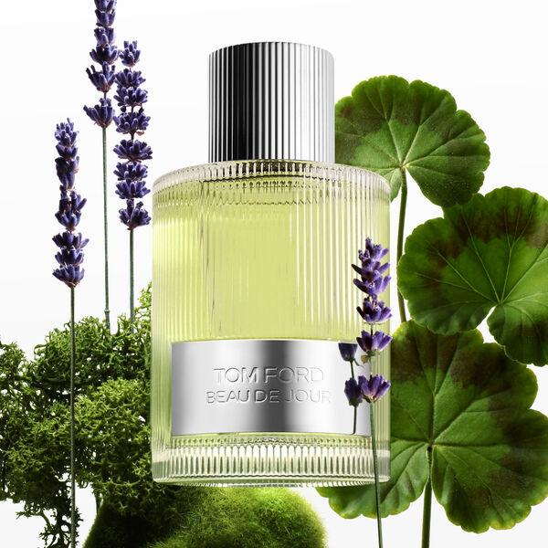 Tom Ford Beau de Jour - Eau de parfum