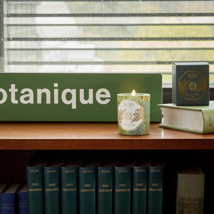 Carrière Frères - Bougie Absinthe