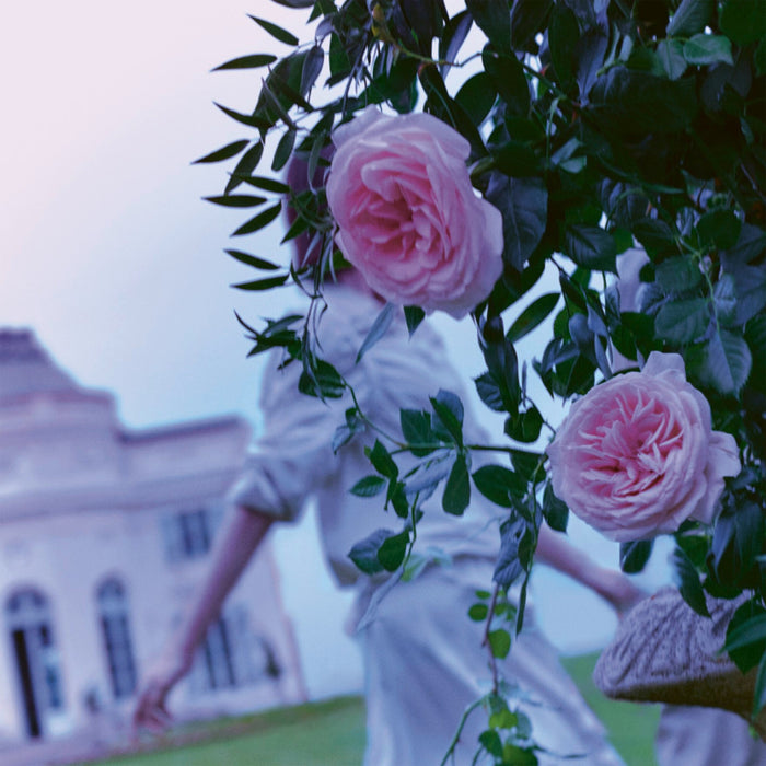 Maison Margiela Up at Dawn - Eau de toilette