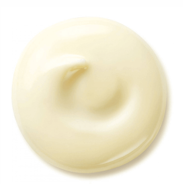 Shiseido Benefiance Anti-Wrinkle Smoothing Day Cream SPF 25