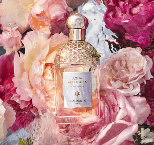 Guerlain Aqua Allegoria Rosa Rossa - Eau de toilette