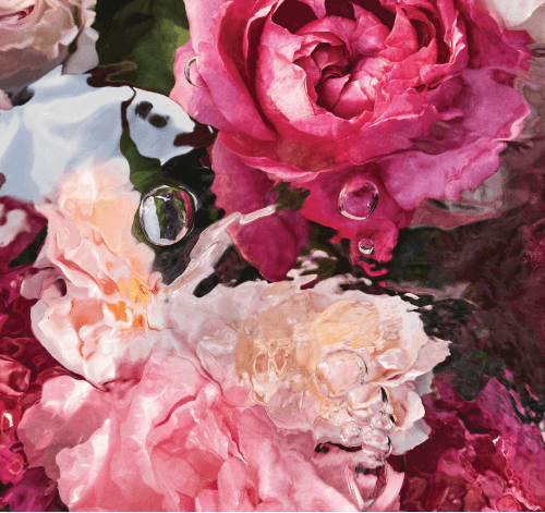 Guerlain Aqua Allegoria Rosa Rossa - Eau de toilette
