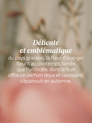 L'Occitane - Eau de Toilette Néroli & Orchidée