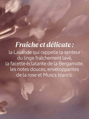 L'Occitane - Eau de toilette Lavande Blanche