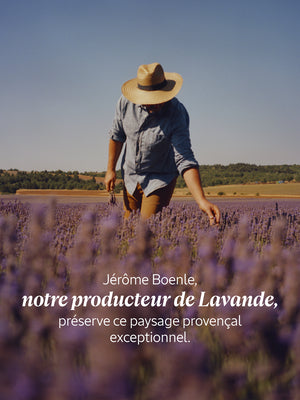 L'Occitane - Eau de toilette Lavande Blanche