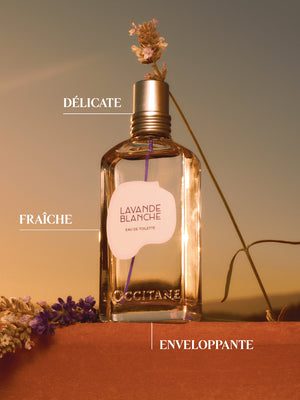 L'Occitane - Eau de toilette Lavande Blanche