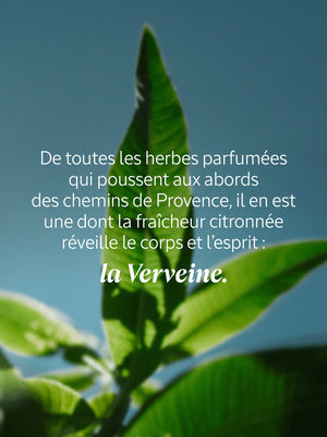 L'Occitane - Eau de Toilette Verveine