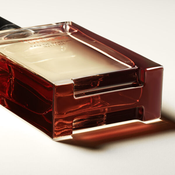 Hermès Terre d'Hermès - Agua de perfume intensa