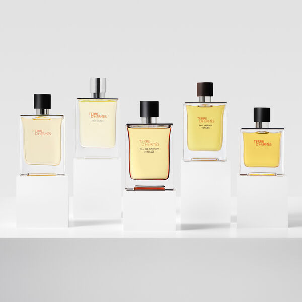 Hermès Terre d'Hermès - Agua de perfume intensa