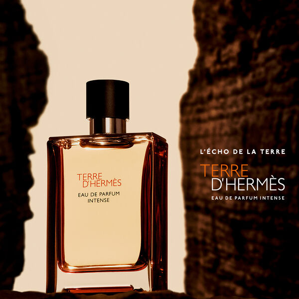 Hermès Terre d'Hermès - Agua de perfume intensa