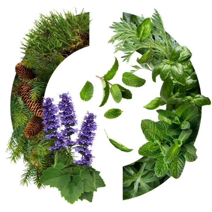 Caron Yatagan - Agua de colonia