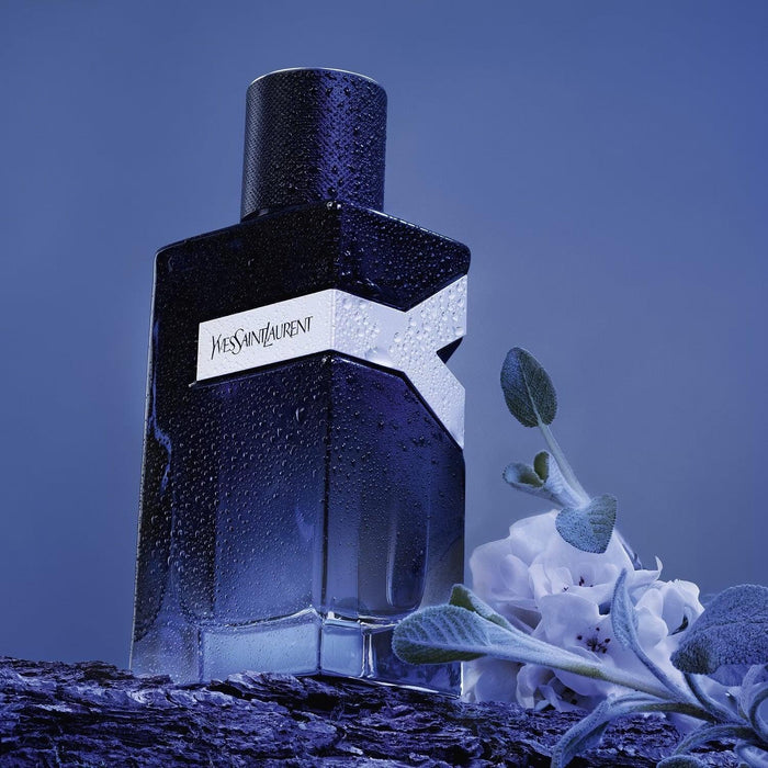 Yves Saint Laurent Y - Fragancia intensa