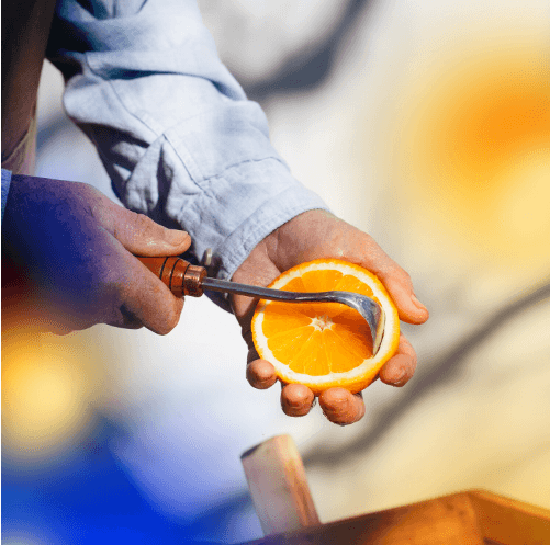 Acqua Di Parma Arancia La Spugnatura Eau de toilette — Olara