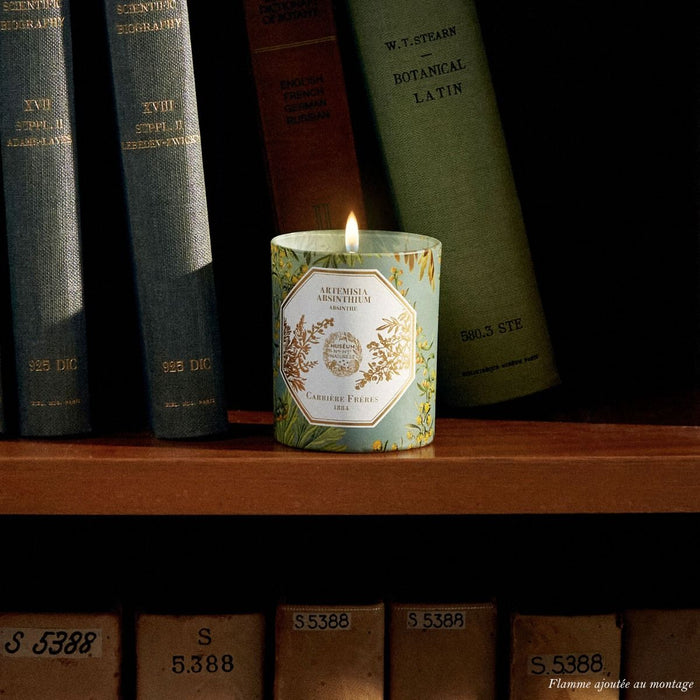 Carrière Frères - Bougie Absinthe
