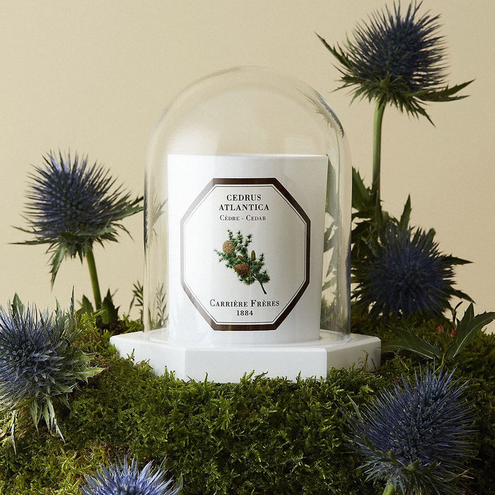 Carrière Frères - Le Dôme