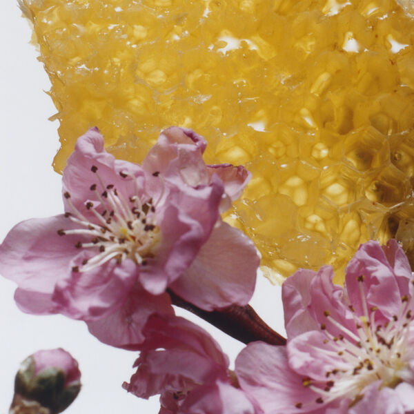 Jo Malone London - Nectarine Blossom & Honey