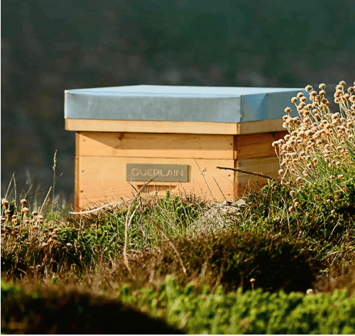 Guerlain Royal Bee - Loción