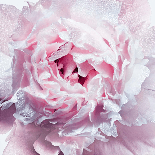 Dior Miss Dior - Gel de Baño y Ducha Espumoso