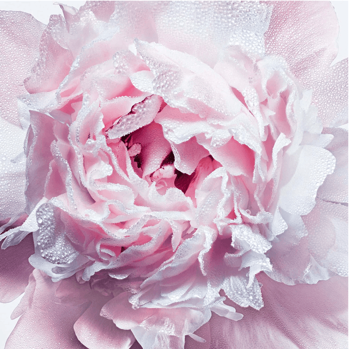 Miss Dior - Huile De Rose Fraîche Corps & Cheveux