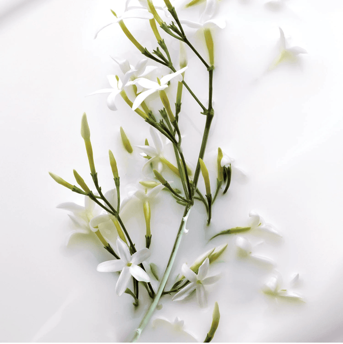 Dior J’adore - Crème Sublimatrice Pour Le Corps