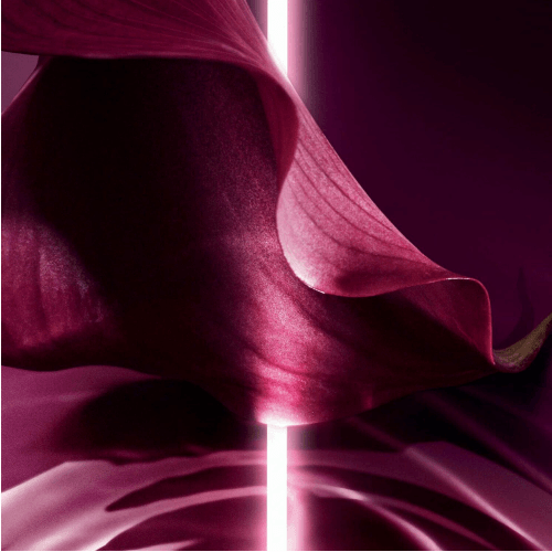 Dior Capture Totale Super Potent Rich Crème