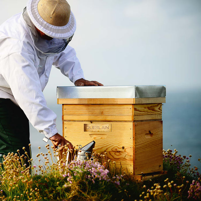 Guerlain Abeille Royale Maschera Cataplasma al Miele