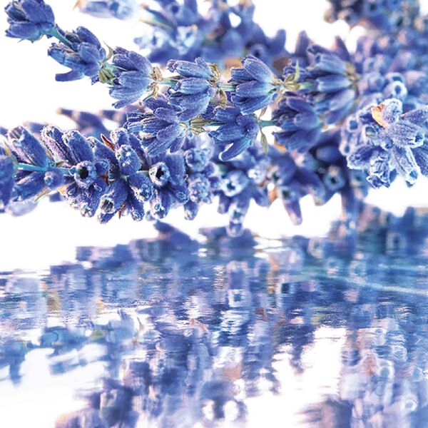 Guerlain Mon Guerlain - Cofanetto di Eau de parfum