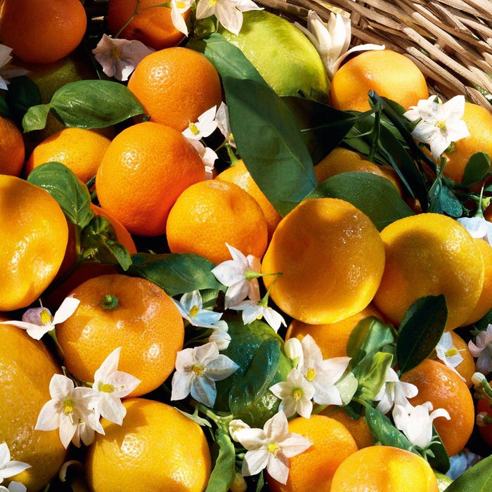 Guerlain Aqua Allegoria Harvest Mandarine Basilic