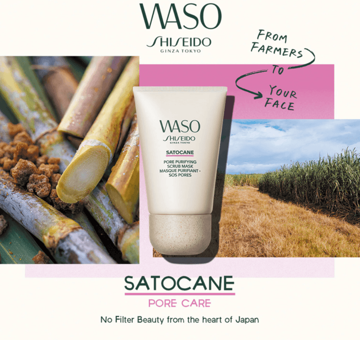 Maschera purificante Shiseido