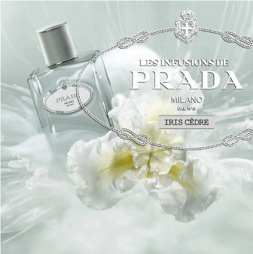Prada Les Infusions de Prada - Cedro - Eau de parfum