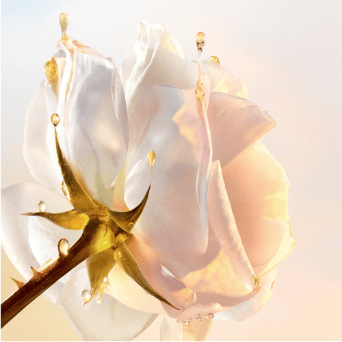 Dior Prestige - Le Sucre De Gommage