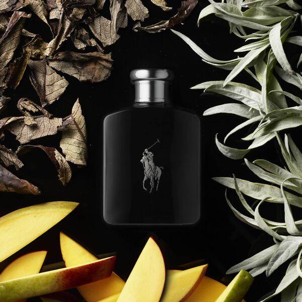 Polo Ralph Lauren - Polo Black Eau de toilette