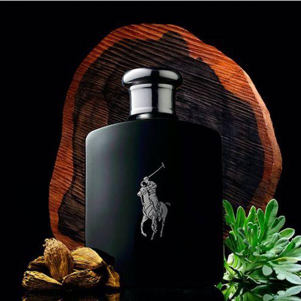 Polo Ralph Lauren - Polo Black Eau de toilette